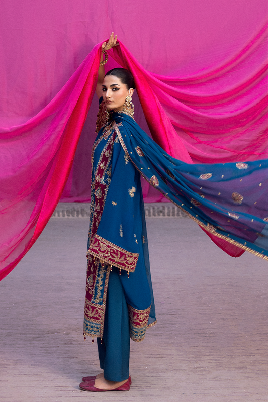 VELANIS Embroidered Pakistani Dress