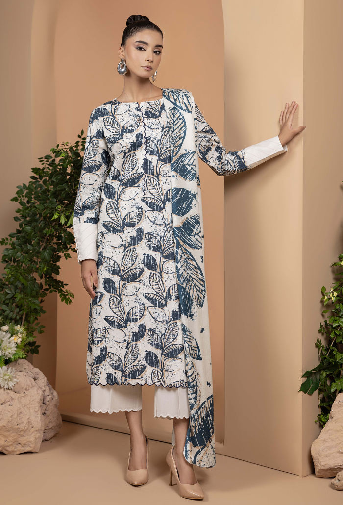 Zara - D06 Pakistani Winter Dress