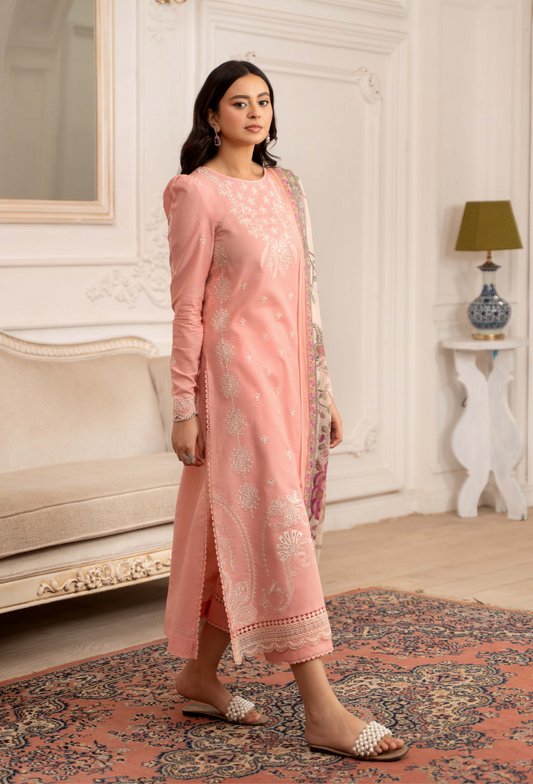 Inara-D04 Organza Pakistani Summer Dresses - Humdum - 2