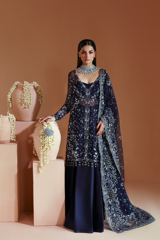 ELYSIAN Raw Silk Pakistani Formal Dresses