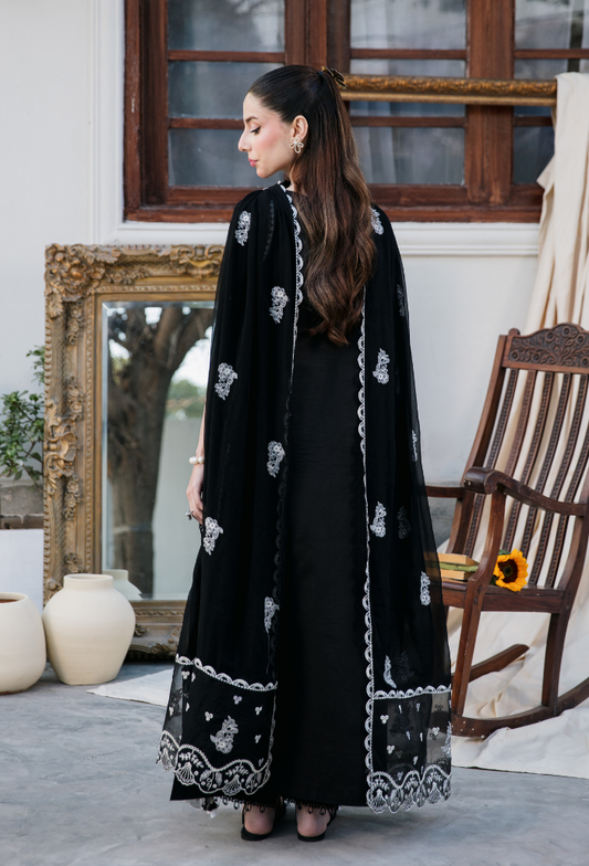 Meraki'2 - D01 Organza Pakistani Summer Dresses - Humdum - 2