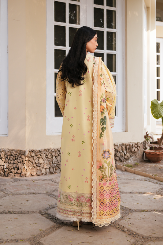 Eira Organza Pakistani Summer Dresses - Afrozeh - 2