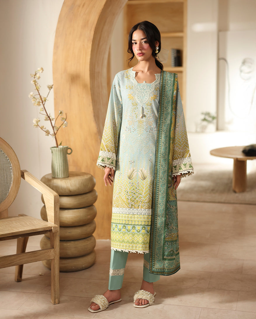 Zirwa Organza Pakistani Summer Dresses - Roheenaz - 1