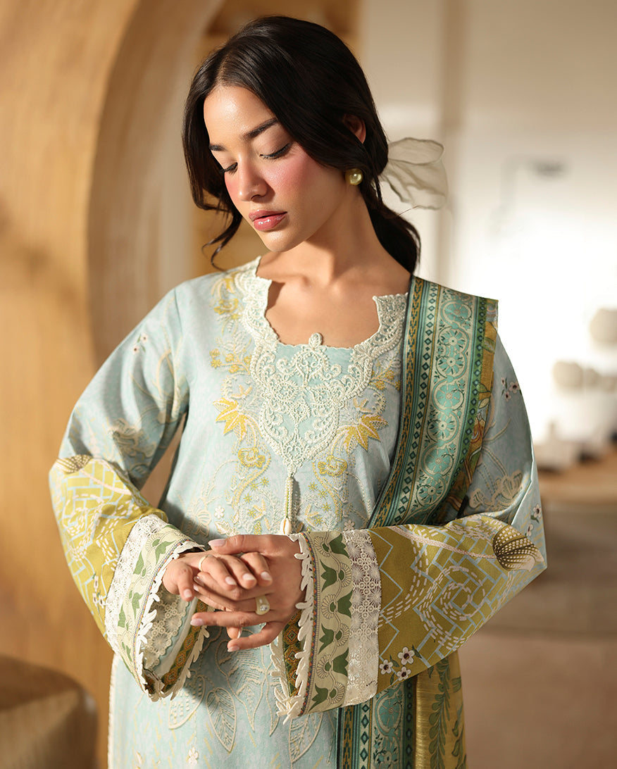 Zirwa Organza Pakistani Summer Dresses - Roheenaz - 2