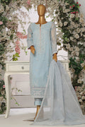 EF - 107 Raw Silk Pakistani Formal Dresses - Emaan Adeel - 1