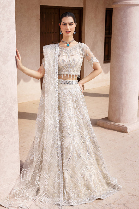 MH-201 Luxury Pakistani Fashion