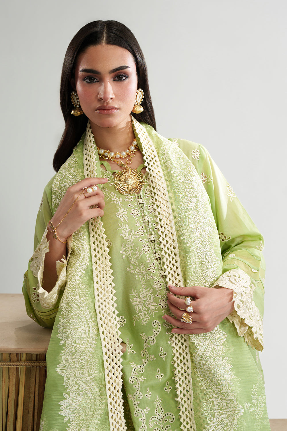 VERDAN (AD-03) Organza Pakistani Formal Dresses - aabyaan - 3