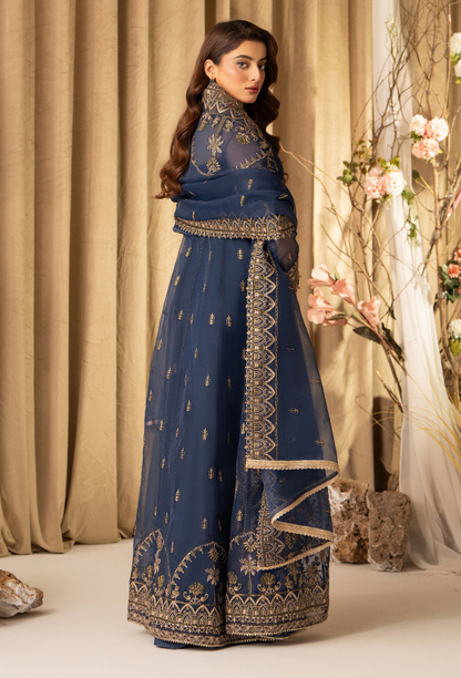 HOC - D08 Raw Silk Pakistani Formal Dresses - Humdum - 3