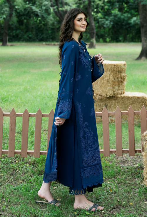 Zephyr - D09 Premium Fabric Pakistani Winter Dresses - Humdum - 2