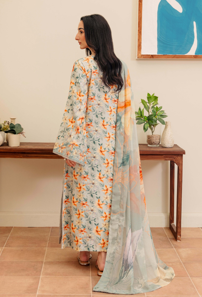 MIRAL - D01 Chiffon Pakistani Winter Dresses - Humdum - 2