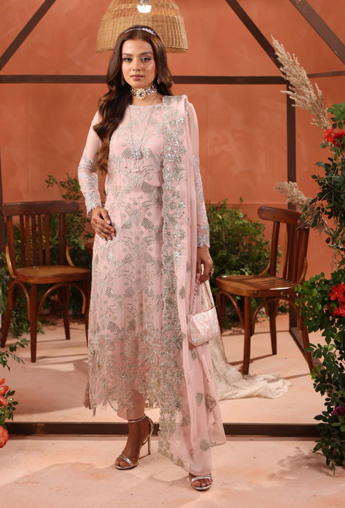 Heer-D04 Organza Pakistani Formal Dresses - Humdum - 2