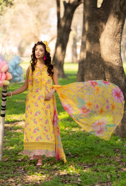 Eden Garden Chapter 3 - D03 Chiffon Pakistani Summer Dresses - Humdum - 3