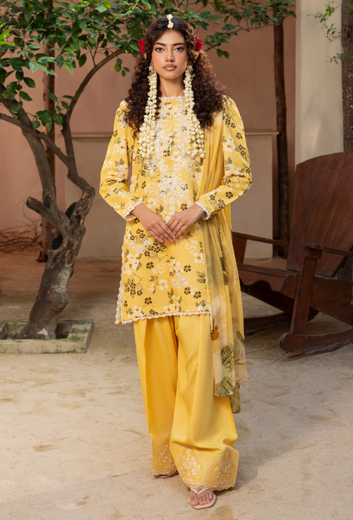 Zaiba - D03 Chiffon Pakistani Winter Dresses - Humdum - 1