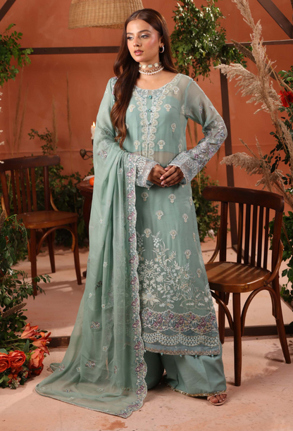 Heer-D06 Organza Pakistani Formal Dresses - Humdum - 2