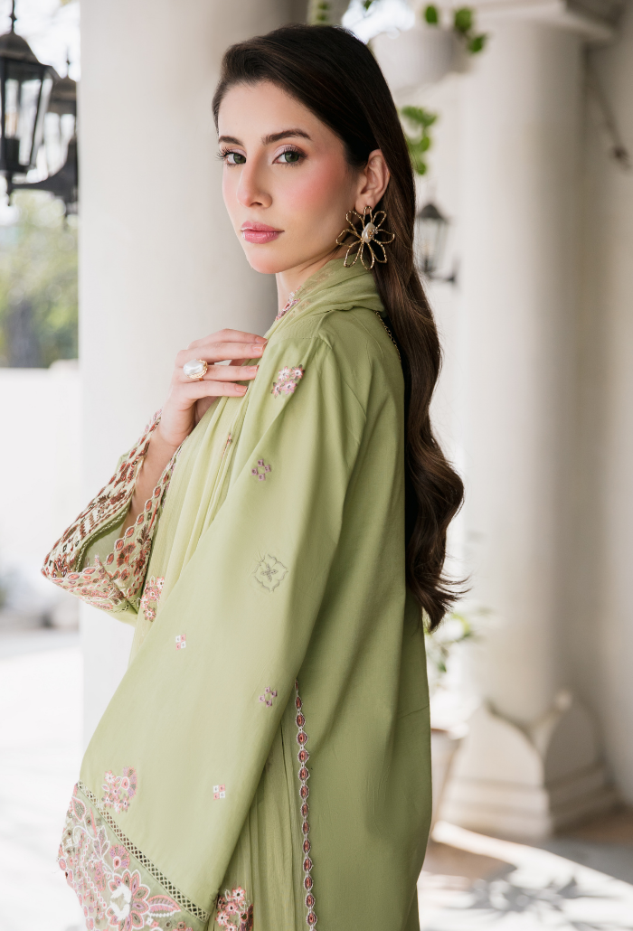 Meraki'2 - D05 Organza Pakistani Summer Dresses - Humdum - 5