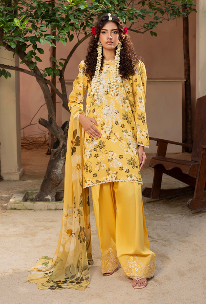 Zaiba - D03 Chiffon Pakistani Winter Dresses - Humdum - 3