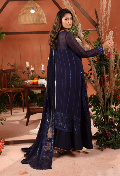 Heer-D07 Organza Pakistani Formal Dresses - Humdum - 3