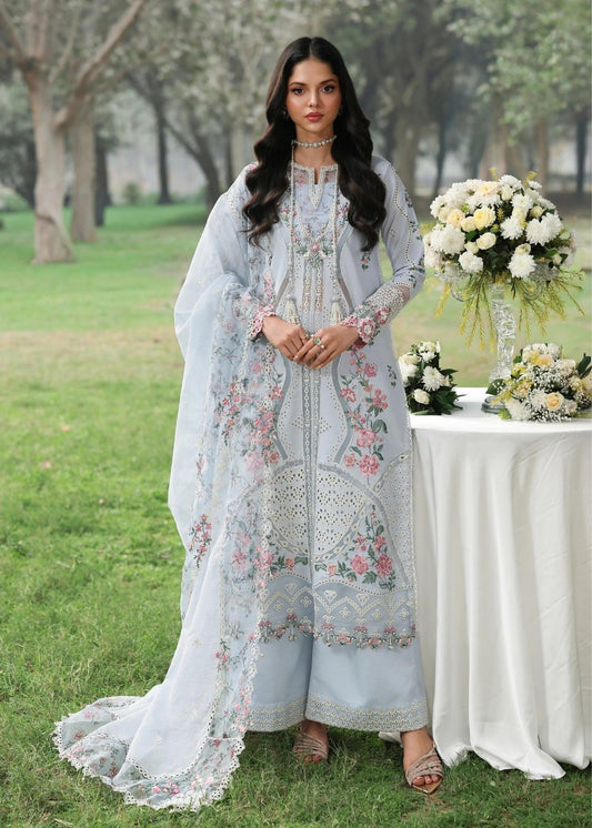 MORNING SKY Organza Pakistani Summer Dresses