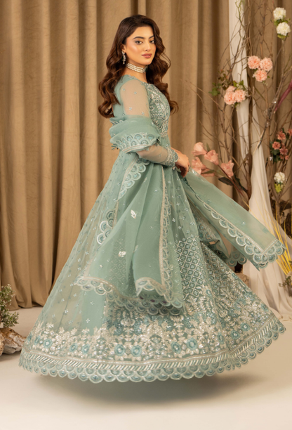 HOC - D10 Raw Silk Pakistani Formal Dresses - Humdum - 3