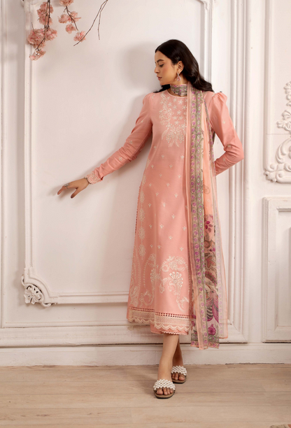 Inara-D04 Organza Pakistani Summer Dresses - Humdum - 3