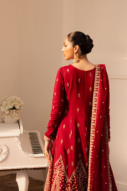 CIREL Raw Silk Pakistani Formal Dresses