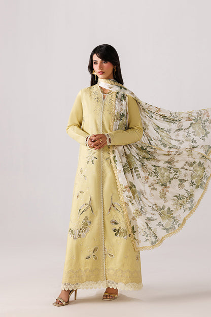 MODISH Embroidered Pakistani Dress