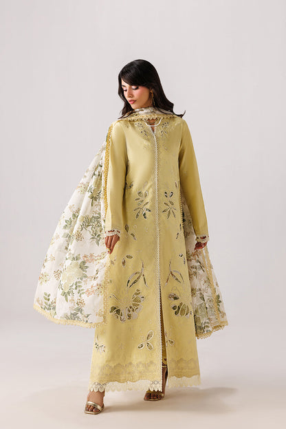 MODISH Embroidered Pakistani Dress