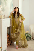 Islet Organza Pakistani Formal Dresses - Akbar Aslam - 1