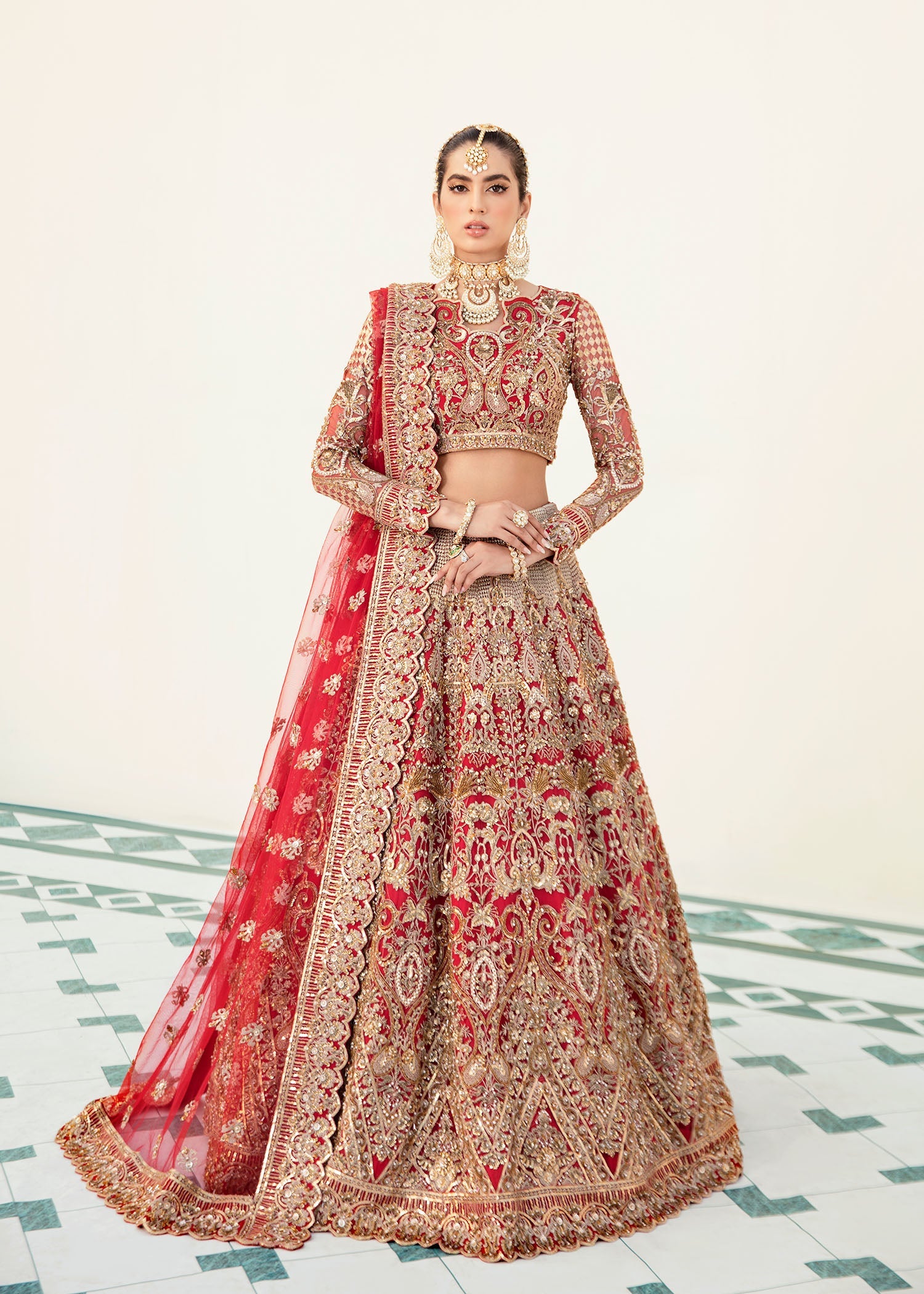 Salamander Embroidered Pakistani Dress