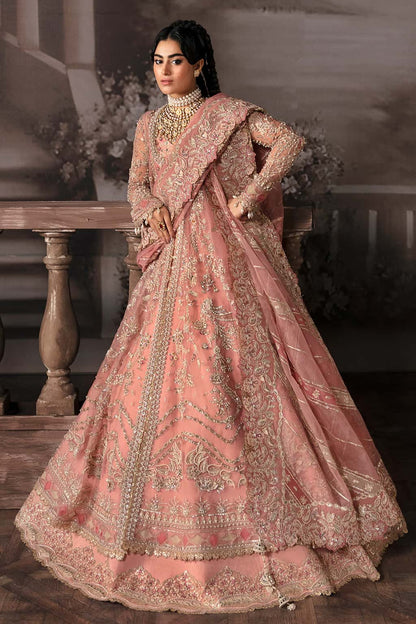 Victoria Raw Silk Pakistani Formal Dresses - Afrozeh - 3