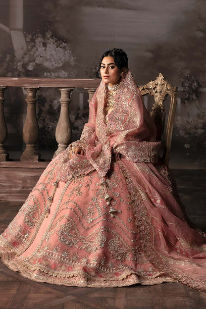 Victoria Raw Silk Pakistani Formal Dresses - Afrozeh - 4