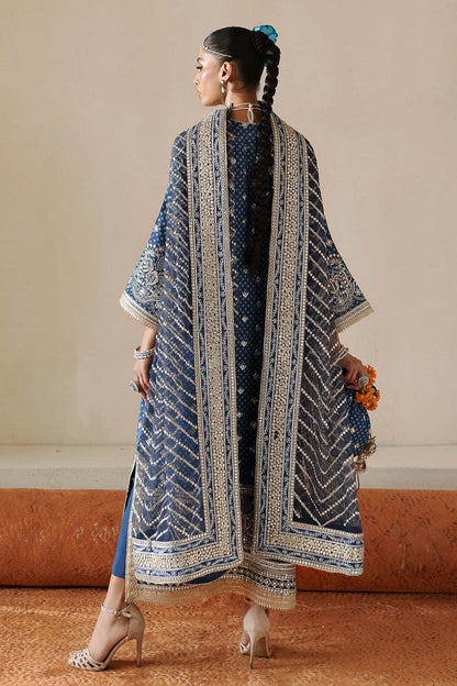 Rukhsana Raw Silk Pakistani Formal Dresses - Afrozeh - 2