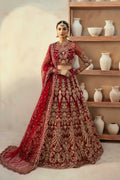 Embyrlen Pakistani Designer Dress