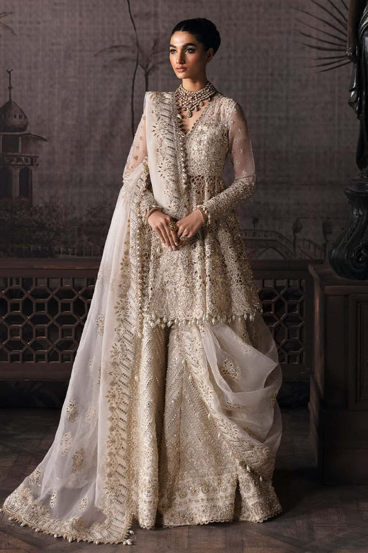 Helena Raw Silk Pakistani Formal Dresses - Afrozeh - 1