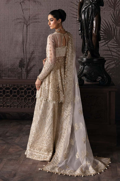 Helena Raw Silk Pakistani Formal Dresses - Afrozeh - 2