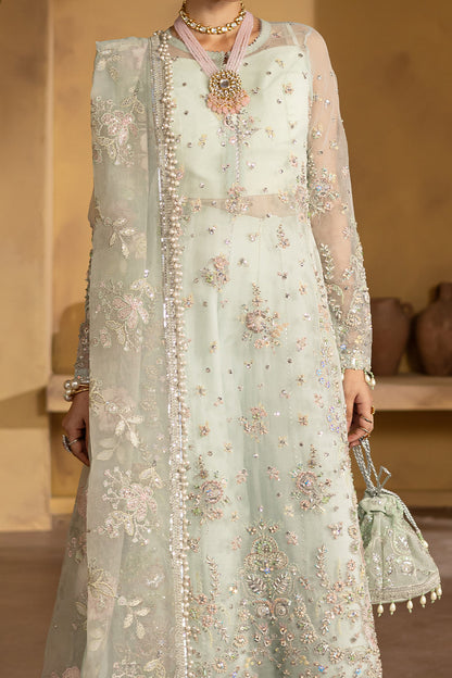 CELESTIA Raw Silk Pakistani Formal Dresses
