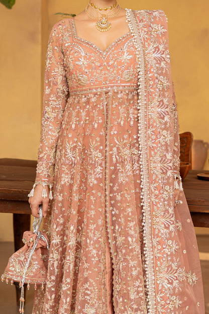 MISTRAL Embroidered Pakistani Dress