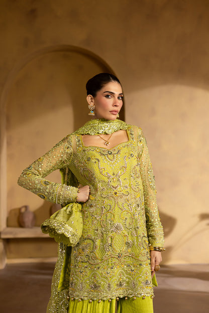 BERYL Raw Silk Pakistani Formal Dresses