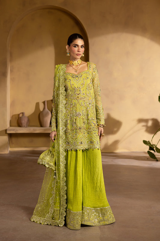BERYL Raw Silk Pakistani Formal Dresses
