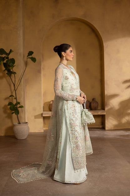 CELESTIA Raw Silk Pakistani Formal Dresses