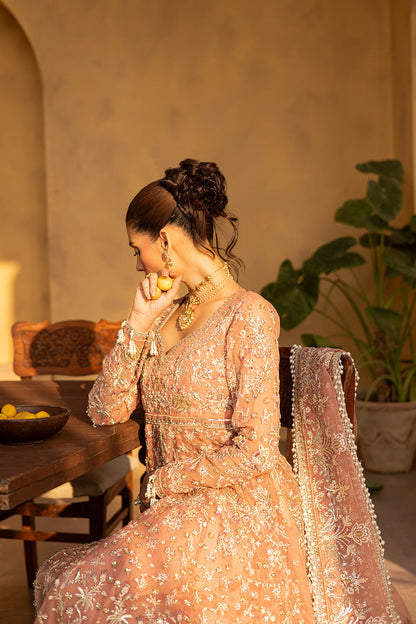 MISTRAL Embroidered Pakistani Dress