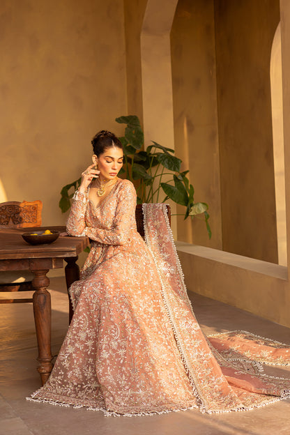 MISTRAL Embroidered Pakistani Dress