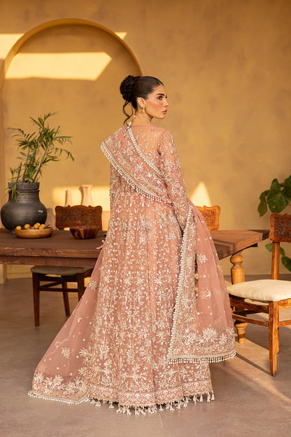 MISTRAL Embroidered Pakistani Dress