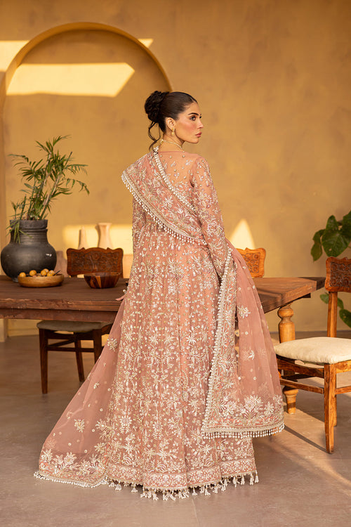 MISTRAL Embroidered Pakistani Dress