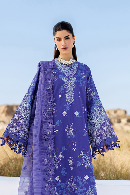 PETAL PULSE Pakistani Summer Dresses Collection