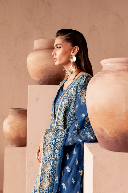 ELARA Raw Silk Pakistani Formal Dresses