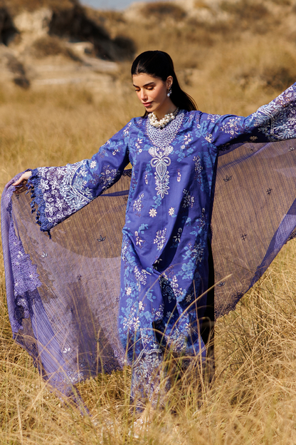 PETAL PULSE Pakistani Summer Dresses Collection