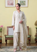 Espresso Jawa Velvet Pakistani Summer Dresses - Sahiba-clothing - 1