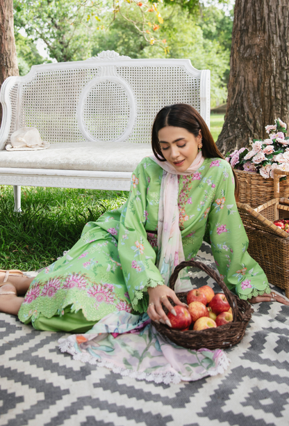 Summer Breeze - D08 Chiffon Pakistani Summer Dresses - Humdum - 4