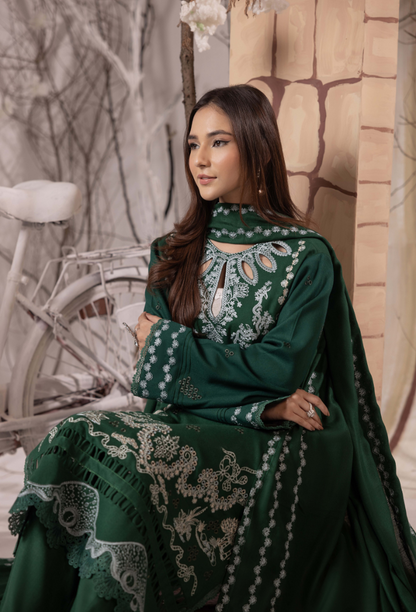Irina-D10 Premium Fabric Pakistani Winter Dresses - Humdum - 4